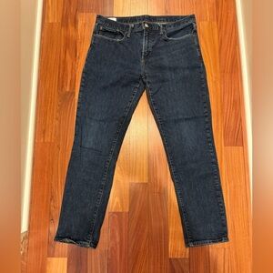 GAP Men's Dark Slim Jeans